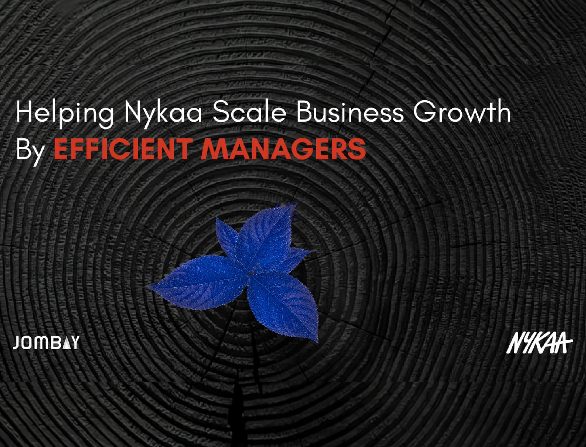 Success_Stories_Visual1